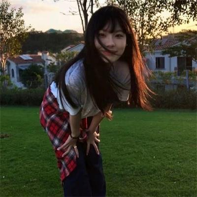 鸟!鸟!鸟!